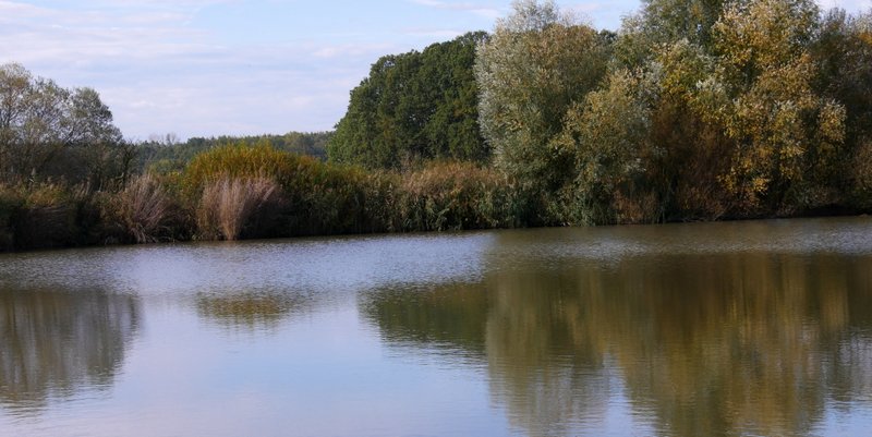 Am Großen Strichweiher