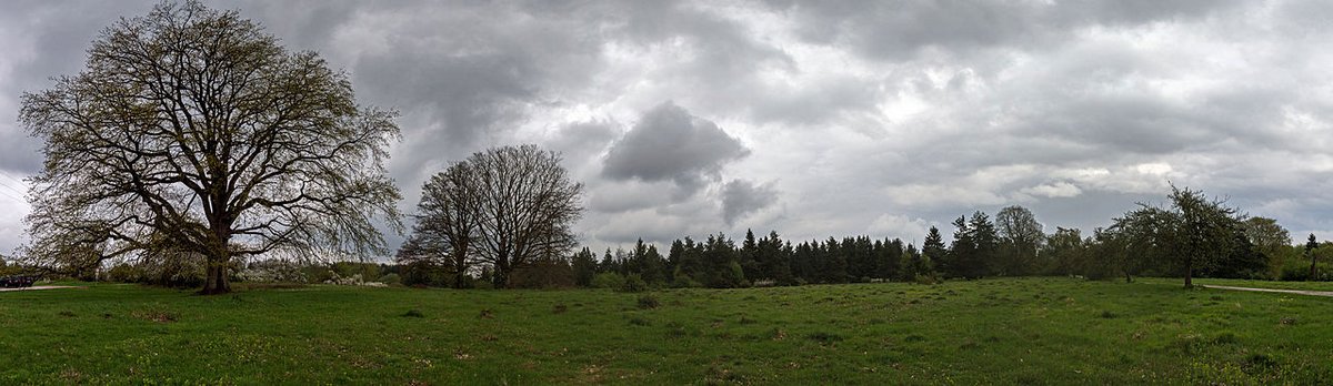 Klingenhofanger