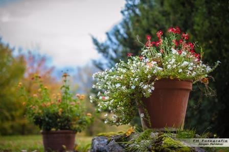 Herbstliche Impressionen