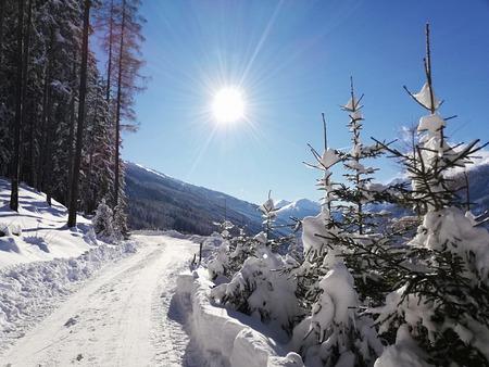 Winterwanderweg neben der Unterkunft