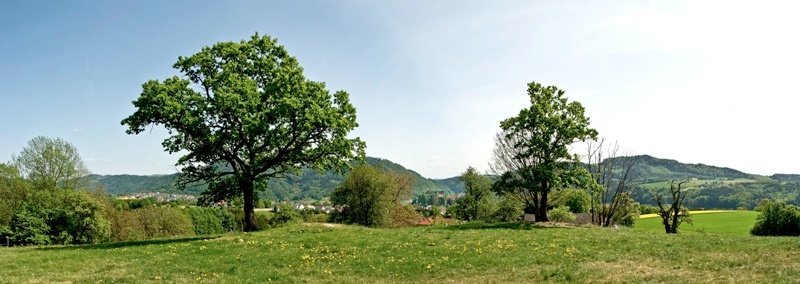Panoramablick Rastplatz Mühlberg
