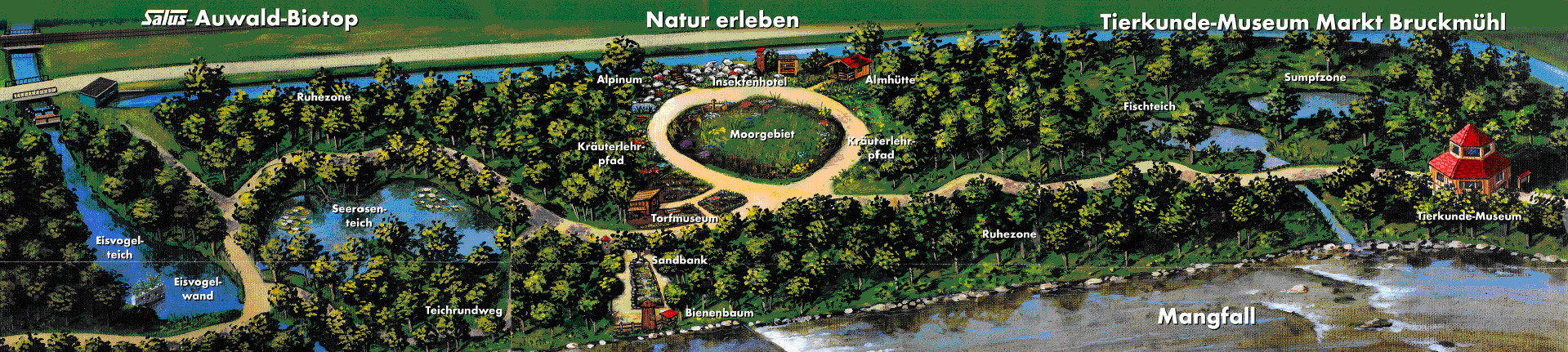 karte-auwald-biotop-bruckmuehl