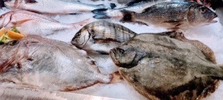 Zum kleinen Griechen Fisch