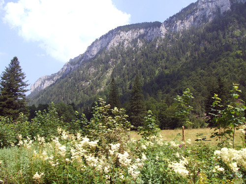 Inzell-Falkenstein