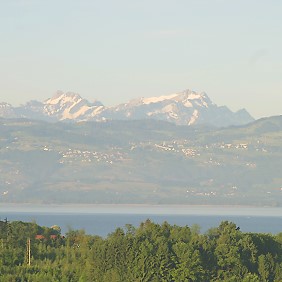 src_99044045-1.jpg