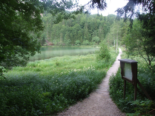 Inzell: Schon der Weg um den kältesten See Deutschlands, den Frillensee, ist ein Erlebnis.