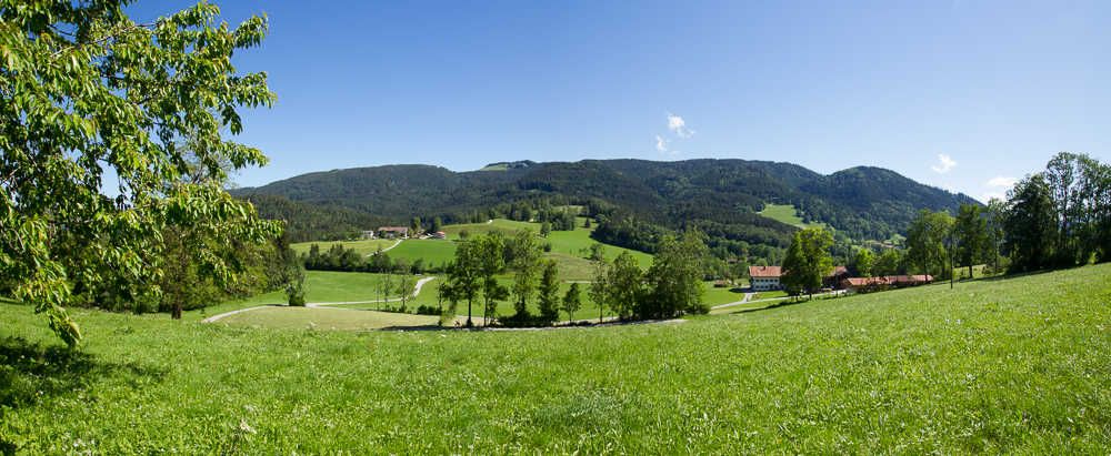Natur pur