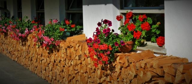 P1150149 (2) (640x281)