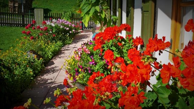 P1150151 (2) (640x360)