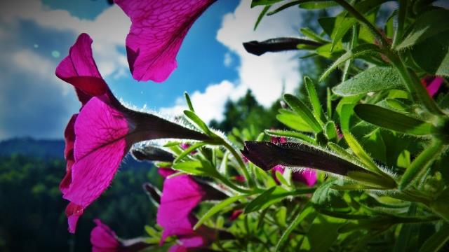 P1150160 (2) (640x360)