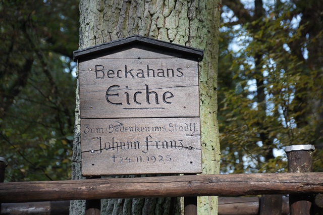 Beckahans Eiche