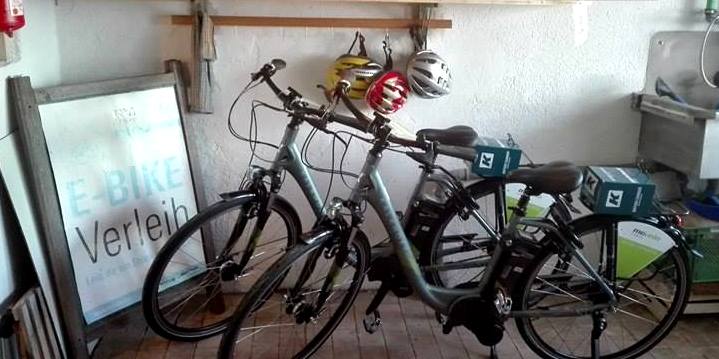 Gärtnerei Löwenzahn