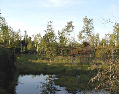 Premer Moor