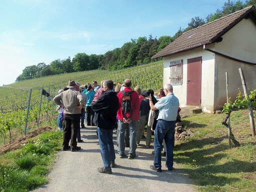 Jeanette Kaltenhauser Gästeführung Churfranken