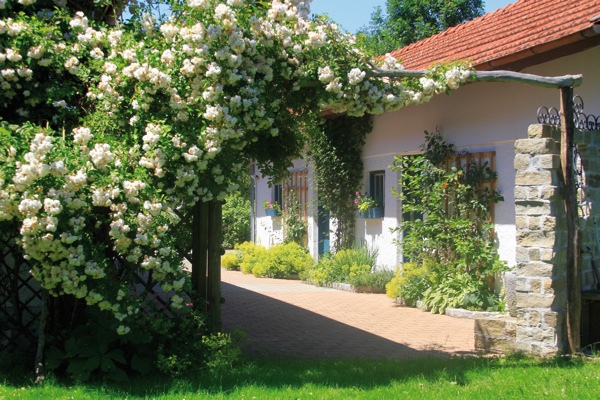 Böglmüllers Garten am Teich