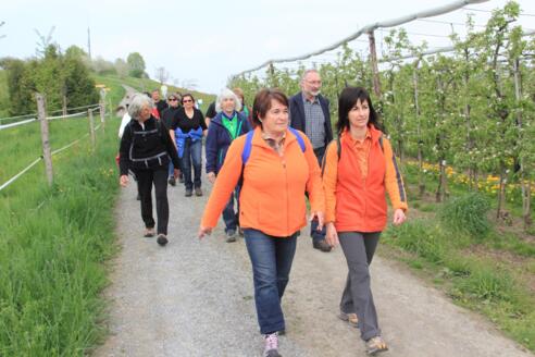 Wandertage durchs Kressbronner Hinterland