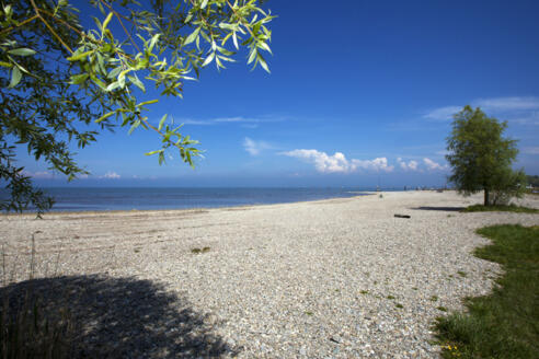 Naturbadeplatz Rohrspitz