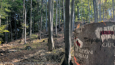 Aufstieg zum Wanderweg