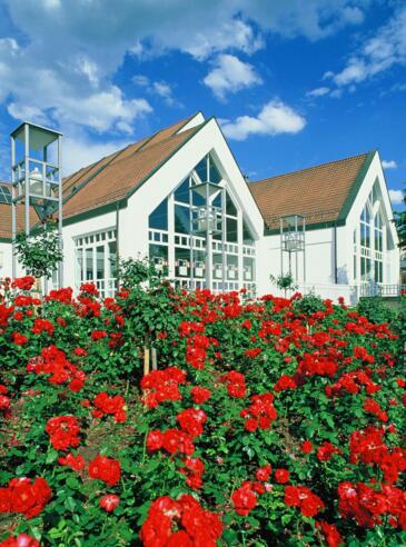 Dr. Stammberger Halle