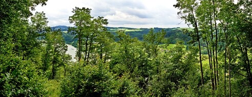Obernzell