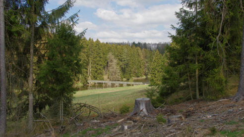 Grenzerbrücke