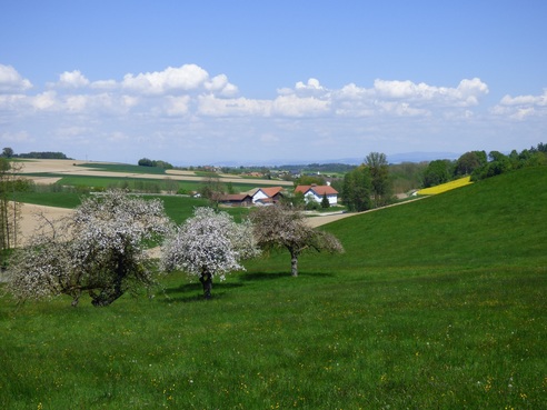 Schöner Ausblick bei Rottmaier