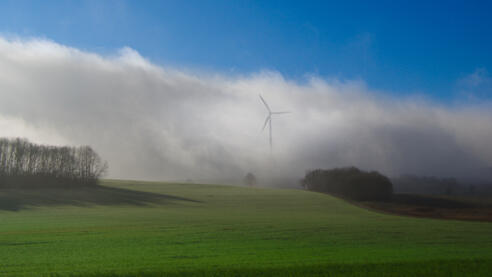 Windrad im Nebel