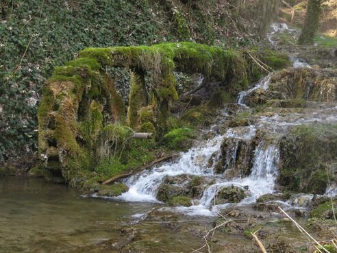 Wedenbach mit seinen Kalk-Sinterstufen in Streitberg