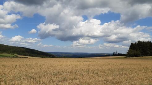 Blick über den Frankenwald beim Kreuzstein
