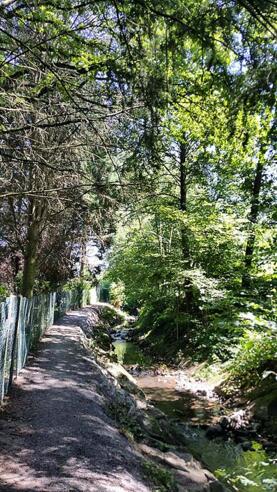 Weg entlang des Hensbaches