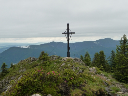 am Gipfel des Schönleitenschrofen (1702 m)