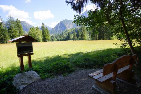 soviel Meter bist du gelaufen