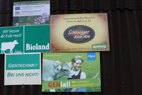 Heimat von glücklichen Kühen