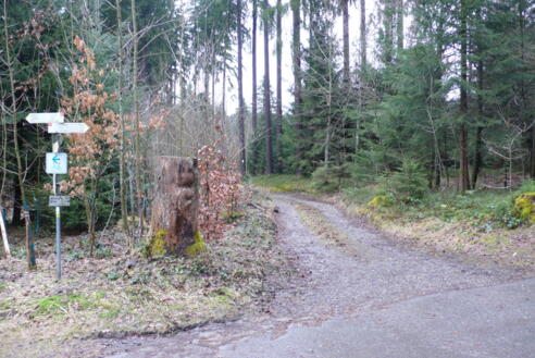 Waldweg zum Hengelesweiher