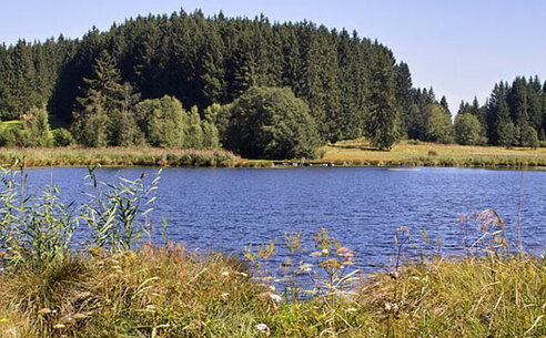 Faulensee-604