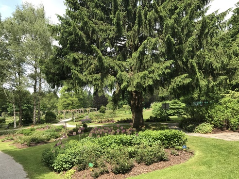 Duft- und Aromagarten Kurpark Bad Wörishofen