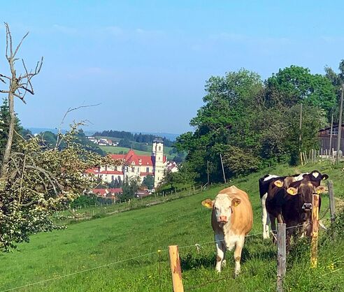 Aussicht in Guggenberg