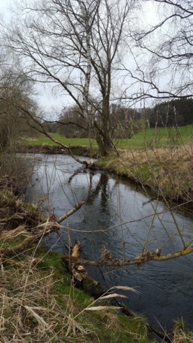 Natur am Fluss
