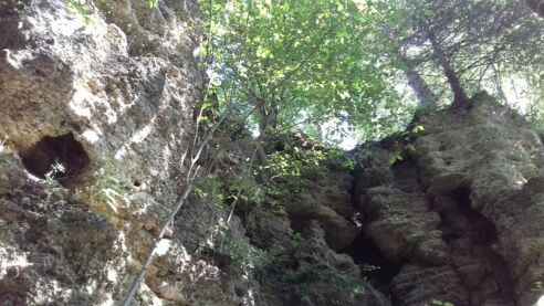 Geologische Orgeln