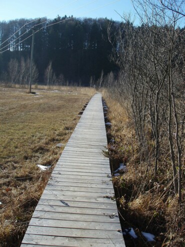 Holzsteg am Bärnsee