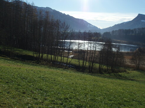 Blick auf Bärnsee