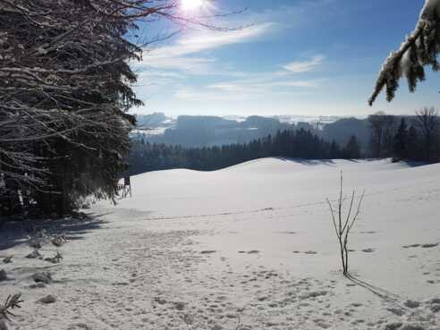 Aussicht vor dem Hochsitz