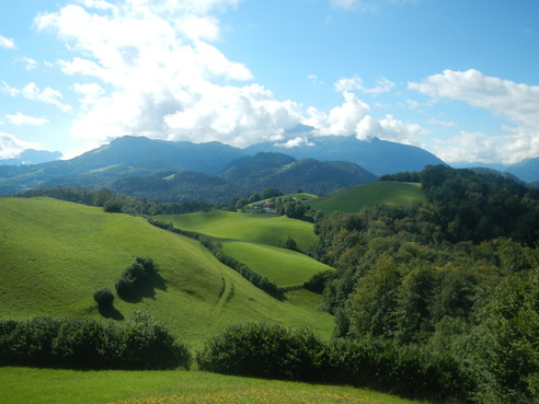 Schöne Aussicht auf die umliegenden Wiesen von Marktschellenberg