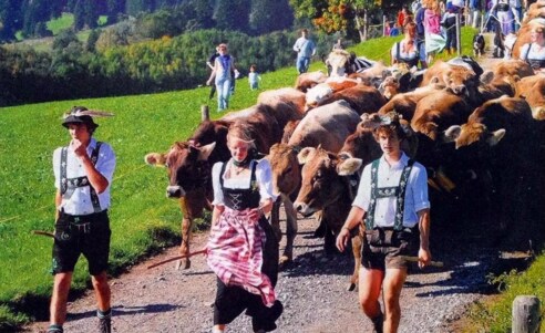 Wachtersalpe