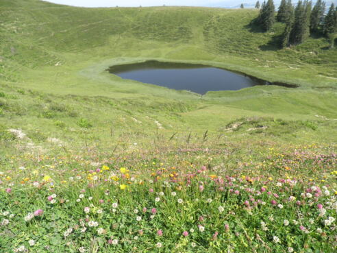 Blick vom Gipfel auf den Hörnlesee
