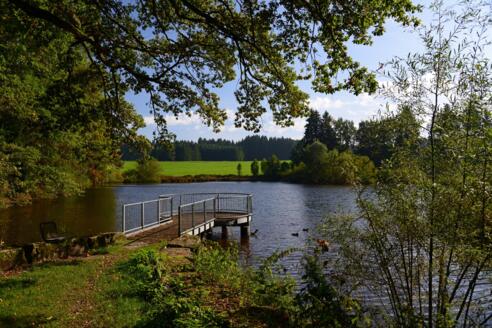 Biesenweiher mit Plattform