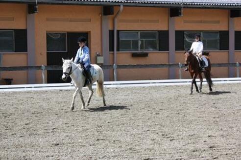 Reitgut Lammertal
