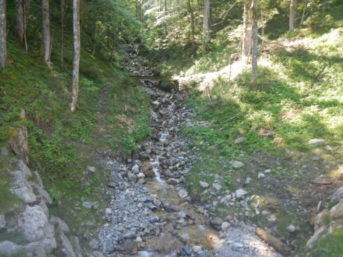 Quelle des Schwarzenbaches