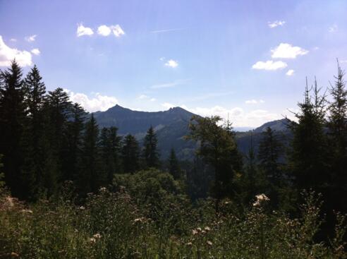 Gruberhorn und Regenspitz von der Königsbergalm