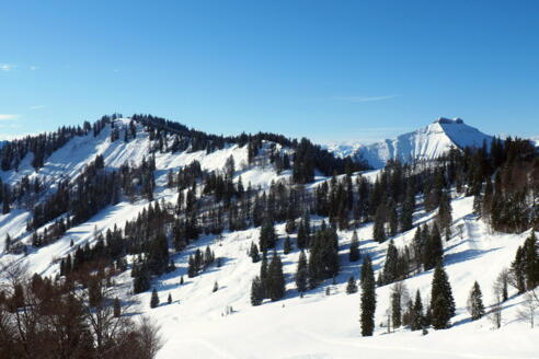 Anzenberg 1473m